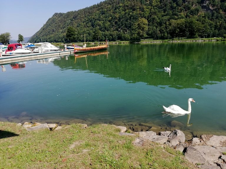 F.A.N.: Fotobericht Schlögen