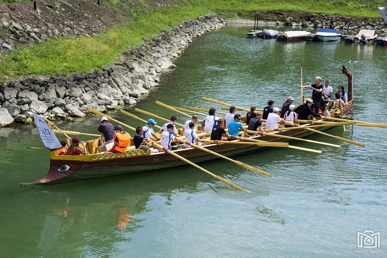 F.A.N. – Zwischenberichte der 5. Woche