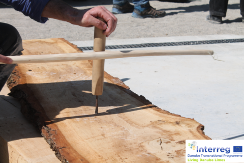 Symbolbild zum Artikel. Der Link öffnet das Bild in einer großen Anzeige.