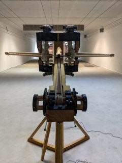 Symbolbild zum Artikel. Der Link öffnet das Bild in einer großen Anzeige.